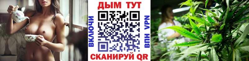Купить где  Рассказово  Бошки марихуана VHQ 